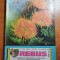 revista rebus 15-20 octombrie 1999