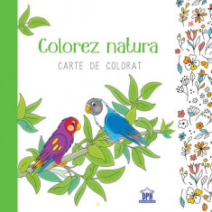 Colorez natura - Carte de colorat - Hardcover - *** - Didactica Publishing House