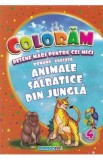 Coloram desene mari pentru cei mici: Animale salbatice din jungla