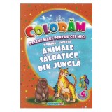 Coloram desene mari pentru cei mici: Animale salbatice din jungla