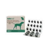 Cumpara ieftin Nutravet Nutracoat Caini &amp; Pisici, 45 capsule