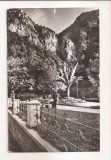 RF72 -Carte Postala- Baile Herculane , vedere din parc, circulata 1968
