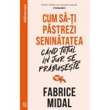 Cum sa-ti pastrezi seninatatea cand totul in jur se prabuseste, Fabrice Midal, Editura Curtea Veche