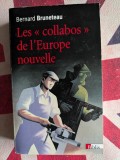 Bernard Bruneteau, Les Collabos de l'Europe nouvelle