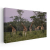 Tablou peisaj savana girafe Tablou canvas pe panza CU RAMA 40x80 cm
