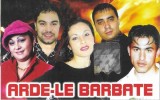 Caseta audio Various - Arde-le Barbate, Compilatie, Hi-Q Studio, Stare Foarte Buna