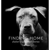 Shelter Dogs and Their Stories