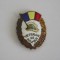 QW9 N2 31 - insigna - militar - Veteran de razboi