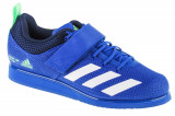 Pantofi de antrenament adidas Powerlift 5 Weightlifting GY8922 albastru, 48, 48 2/3, adidas Performance