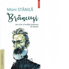 Brancusi sau cum a invatat testoasa sa zboare - Moni Stanila