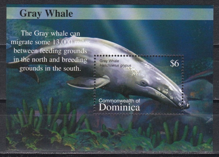 Dominica 2002 - Balene, Colita, MNH