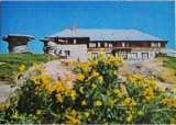 Muntii Bucegi. Cabana Babele (Carte postala necirculata)