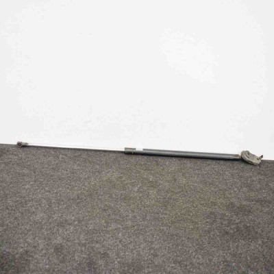 Amortizor capota st&amp;acirc;nga față LEXUS RX _U3_ 2006 3744080 foto