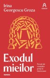 Exodul mieilor Roman Paperback Irina Georgescu Groza Nemira lectura pasionanta povesti dragoste