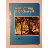 Paul Tauberg - One Spring in Bucharest (A Novel)