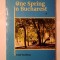 Paul Tauberg - One Spring in Bucharest (A Novel)