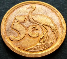 Moneda exotica 5 CENTI - AFRICA de SUD, anul 1991 * cod 2215