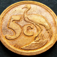Moneda exotica 5 CENTI - AFRICA de SUD, anul 1991 * cod 2215