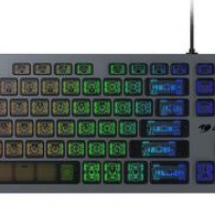 Tastatura Gaming Mecanica Cougar Vantar AX, iluminare RGB, USB, Layout International, Scissor Switch (Gri)