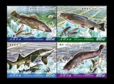 COREEA DE NORD 2020 FAUNA MARINA PESTI