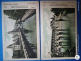 Franta , GRUP DOUA CARTI POSTALE NECIRCULATE , ANII 1920.Castele din Franta , verso reclama la produse medicale POTUBERAGE .