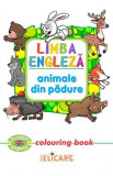 Limba engleză. Animale din pădure. Colouring book