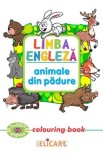 Limba engleza. Animale din padure. Colouring book - Elicart