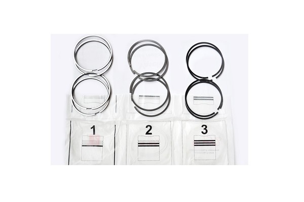 ASAM 30156 Set segmenti piston