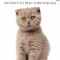 T. Warner - Find Out What Your Cat is Thinking. 100 Ways To Read Their Signals