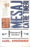 MESAJ CATRE TINERI: REDESCOPERITI LITERATURA-ALEXANDRU STEFANESCU-279156