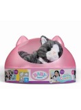 Baby Born My Cat Cookie With Box (837580)