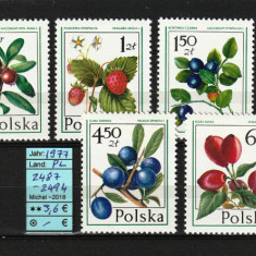 Polonia, 1977 | Fructe sălbatice, fructe de pădure - Plante | MNH | aph