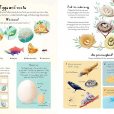 Carte pentru copii - Nature Activity Book