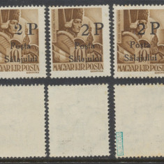 1945 Posta Salajului lot 3x timbru local original 2P/10f MNH tipuri diferite