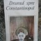Nicoleta Voinescu - Drumul spre Constantinopol