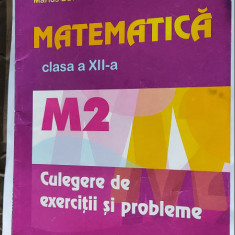 MATEMATICA M2 CLASA A XII A CULEGERE DE EXERCITII SI PROBLEME BURTEA