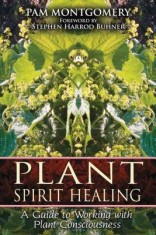 Plant Spirit Healing: A Guide to Working with Plant Consciousness