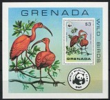 Grenada 1978 - Păsări, fauna WWF, colita neuzata