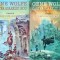 Gene Wolfe - Cartea Soarelui Nou, volumele 1 si 2: Umbra Tortionarului. Gheara