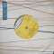 Disc vinil, LP. CARAVANA-COLECTIV-244495