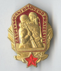 Insigna veche militara - Cehoslovacia - Za upevnovani bojoveho pratelstvi foto