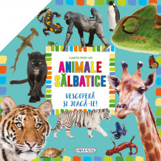 Carte pop-up. Animale salbatice |