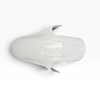 Aripa Aparatoare Roata Fata pentru Honda CBR 600 F / F4i / FS 2001 2002 2003 2004 2005 2006 A2208