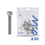 Cumpara ieftin Set 30 suruburi roata motor Dualtron (exceptie Mini)