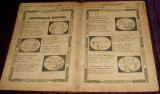 Revista copiilor si tinerimei Nr 4/1921, BD benzi desenate romanesti Iordache
