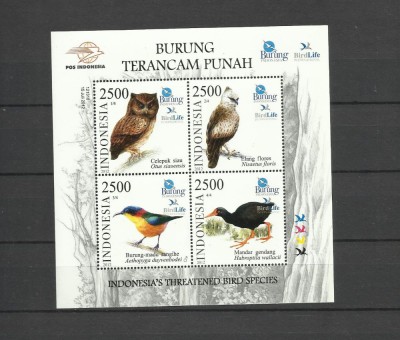 INDONESIA 2012 FAUNA PASARI foto