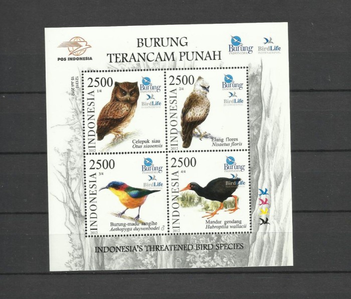 INDONESIA 2012 FAUNA PASARI