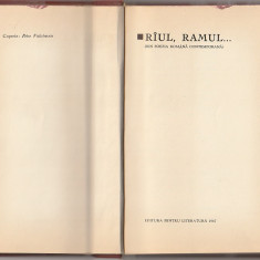 RIUL, RAMUL ( DIN POEZIA ROMANA CONTEMPORANA )