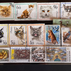 Lot de 17 timbre tematica fauna 4