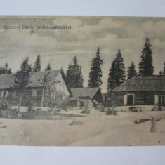 Carte postala Munții Bucegi:Cabana cu sănii,necirculată circa 1915